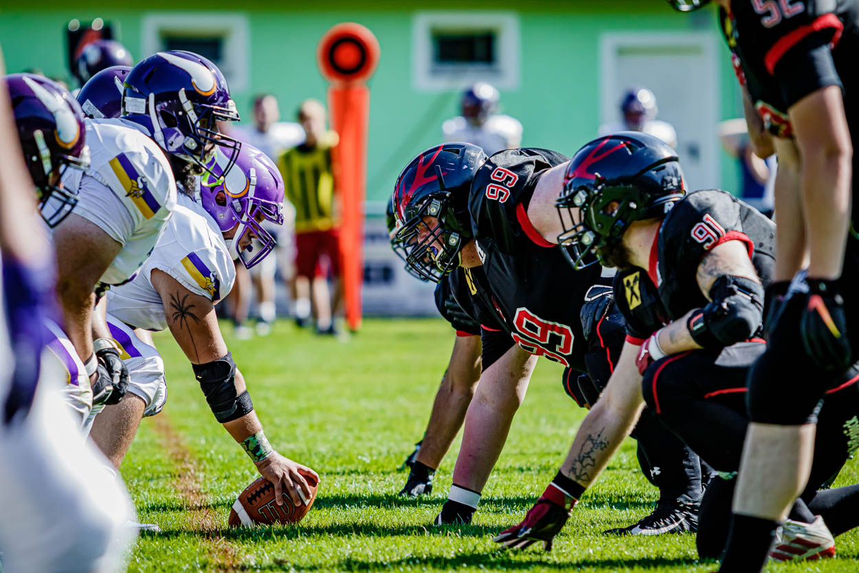 BVW_Vikings