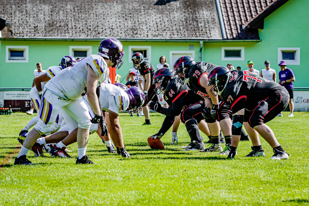 BVW_Mustangs