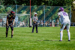 BVW vs. Vikings