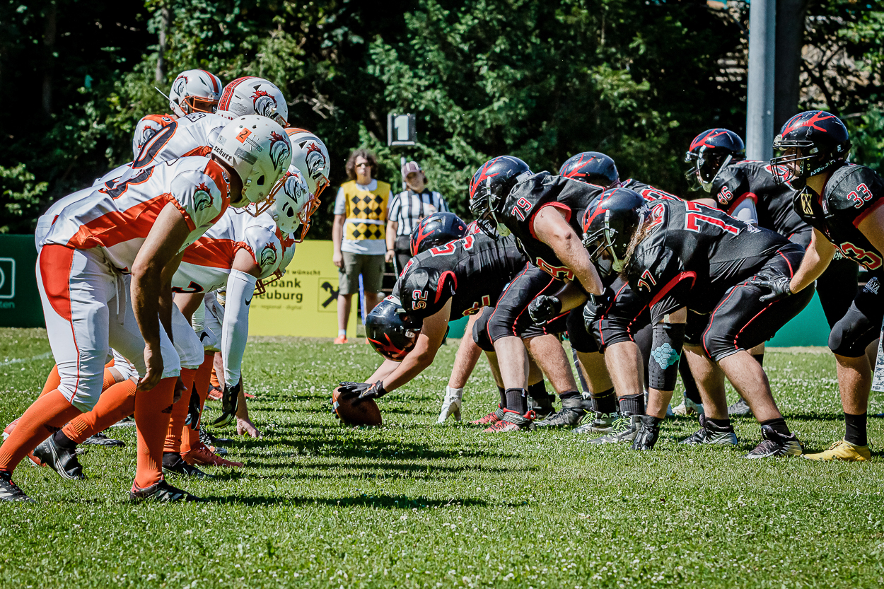 BVW_Vikings