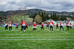 BVW vs. Grizzlies