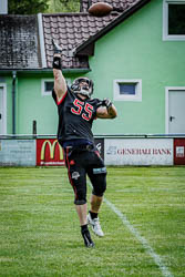 BVW vs. Panthers