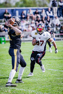 26.04.25 Goldwörth Raccoons vs. Black Valley Wild