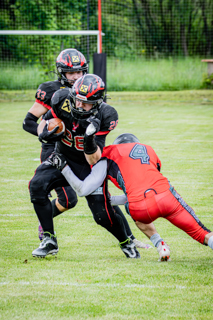 26.04.25 Black Valley Wild vs. Predators Steyr